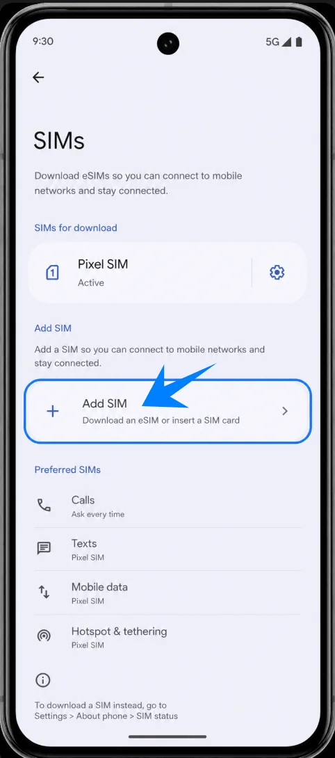 Add eSIM Pixel 10