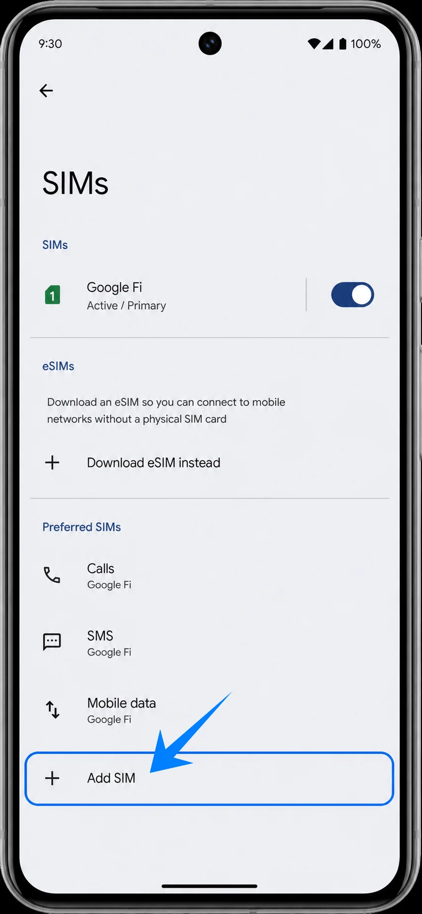 Add eSIM Pixel 8