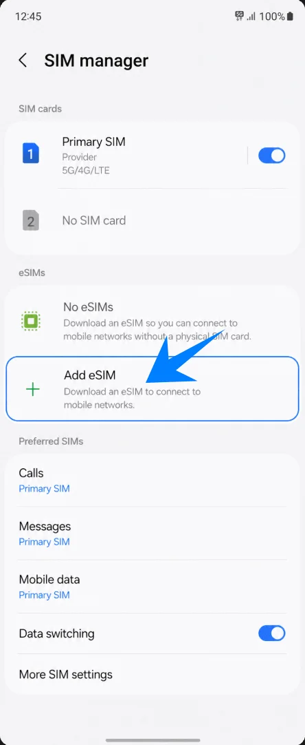 Add eSIM Z Flip