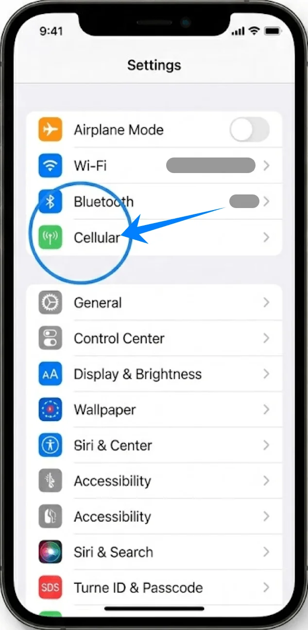 Cellular 12 PM