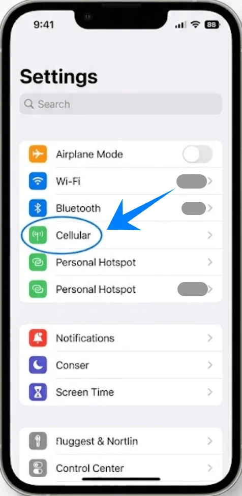Cellular 13
