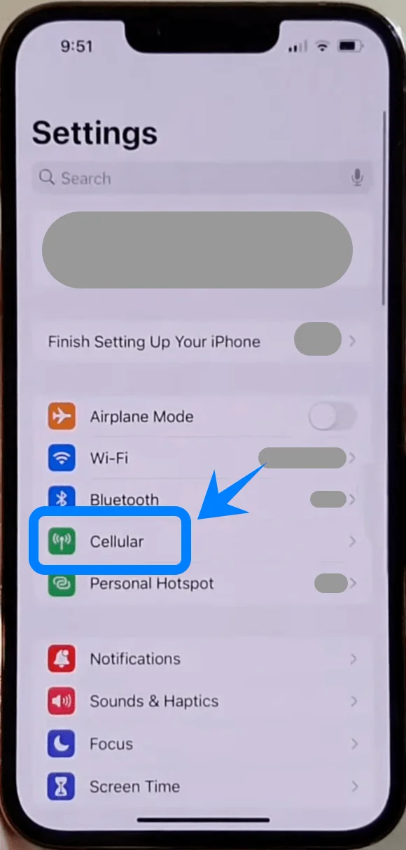 Cellular 13 PM