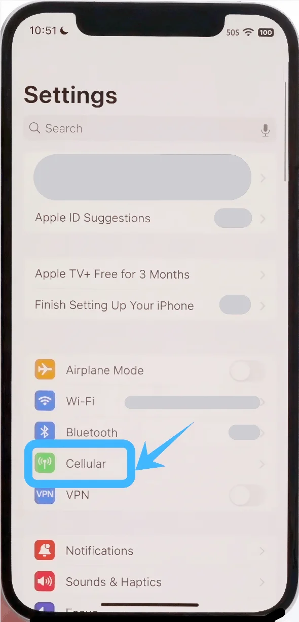 Cellular 13 Pro