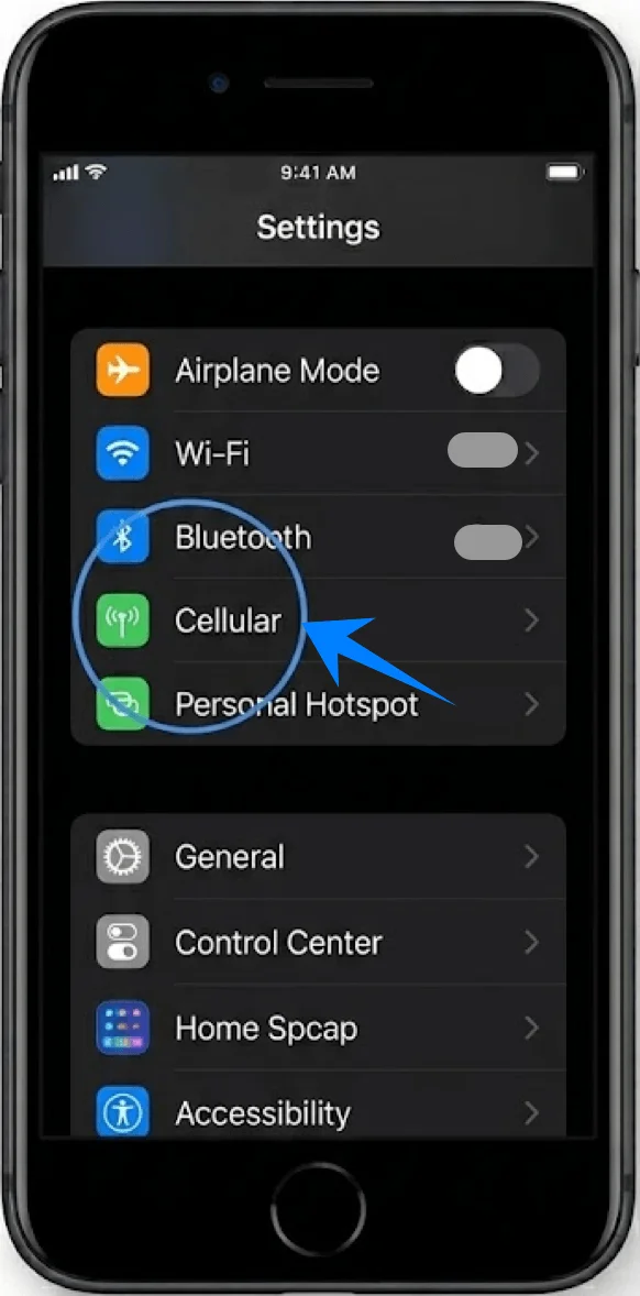Cellular SE 3