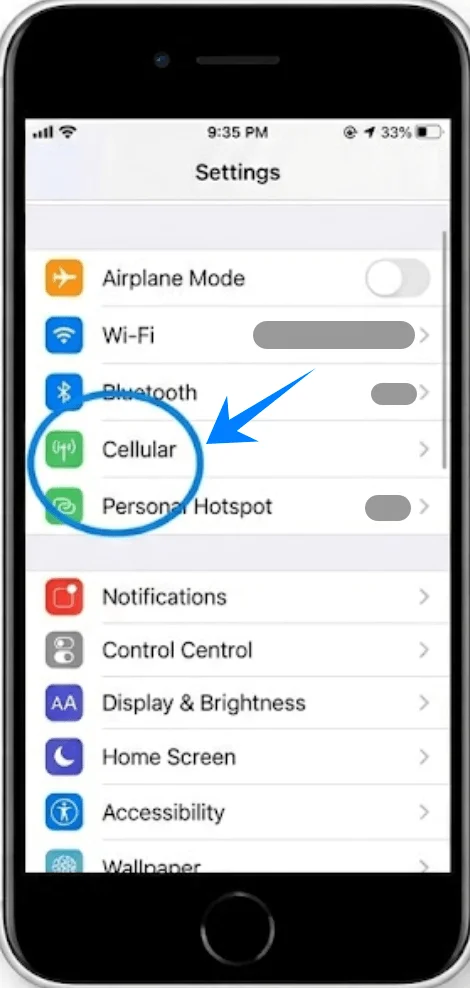 Cellular SE2