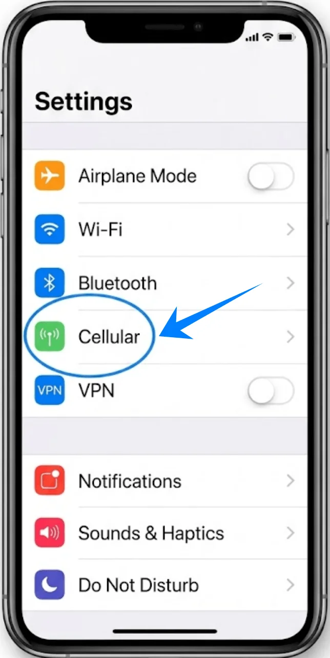 Cellular XR