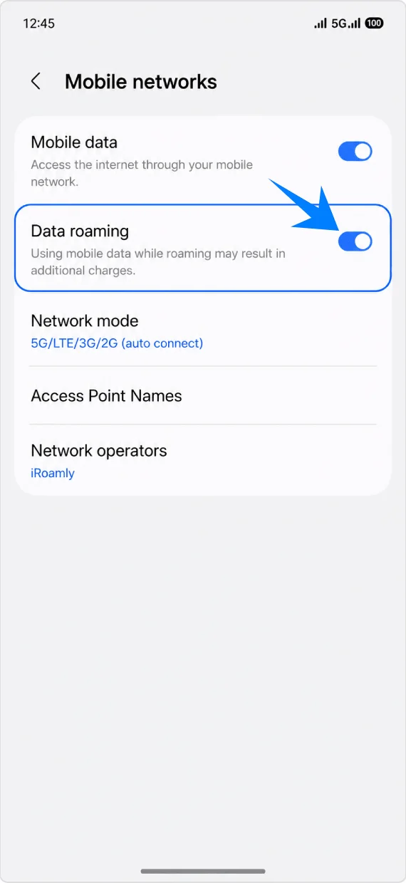 Data Roaming S25