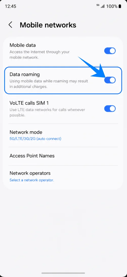 Data Roaming S25 Edge