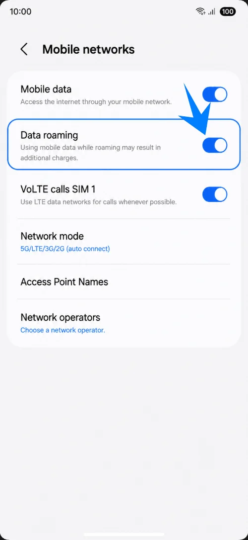 Data Roaming S25 Ultra
