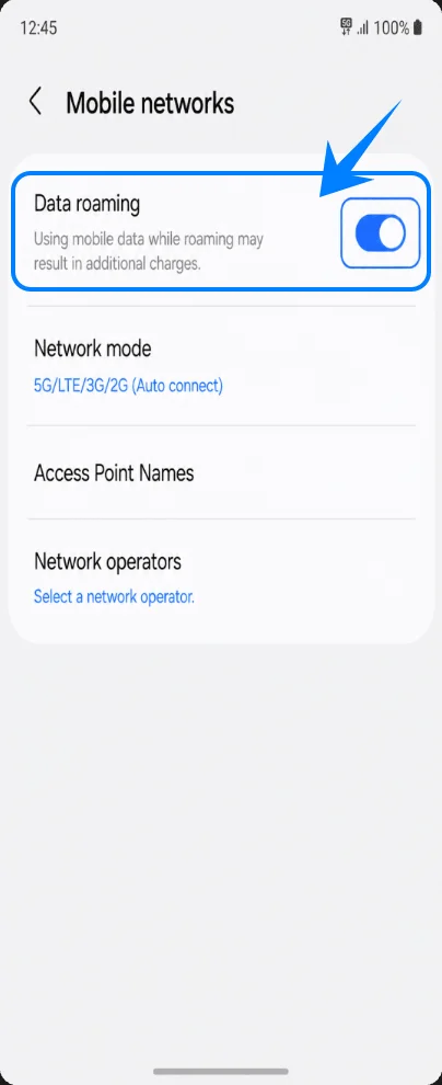 Data Roaming Z Flip
