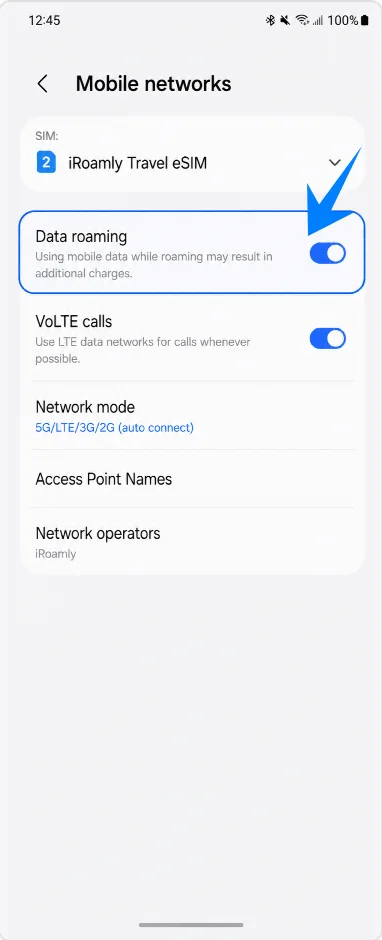 Data Roaming Z Flip4