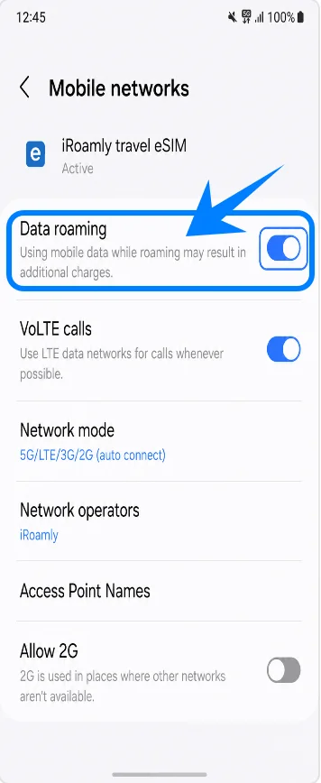 Data Roaming Z Flip6 Data Roaming Z Flip6