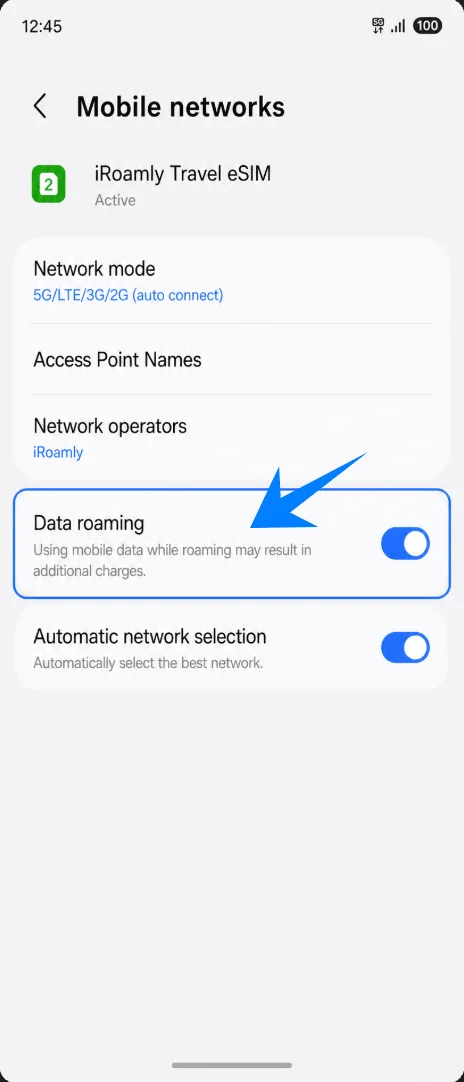 Data Roaming Z Flip7