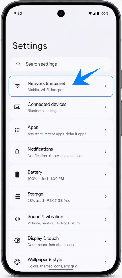 Network and Internet Pixel 10