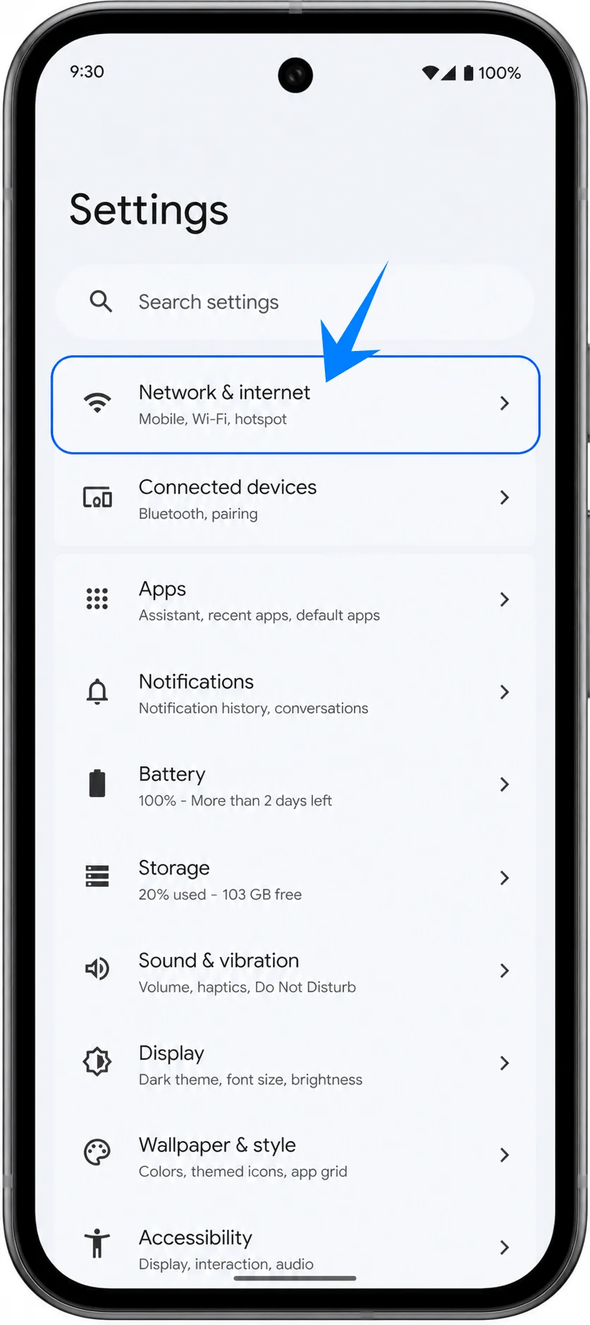 Network and Internet Pixel 9a