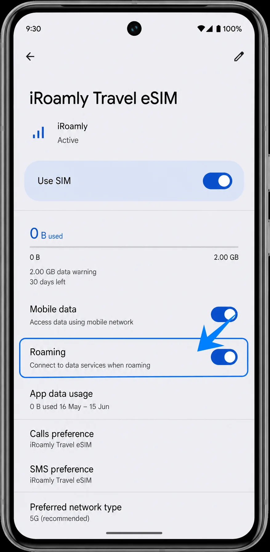 Roaming Pixel 8