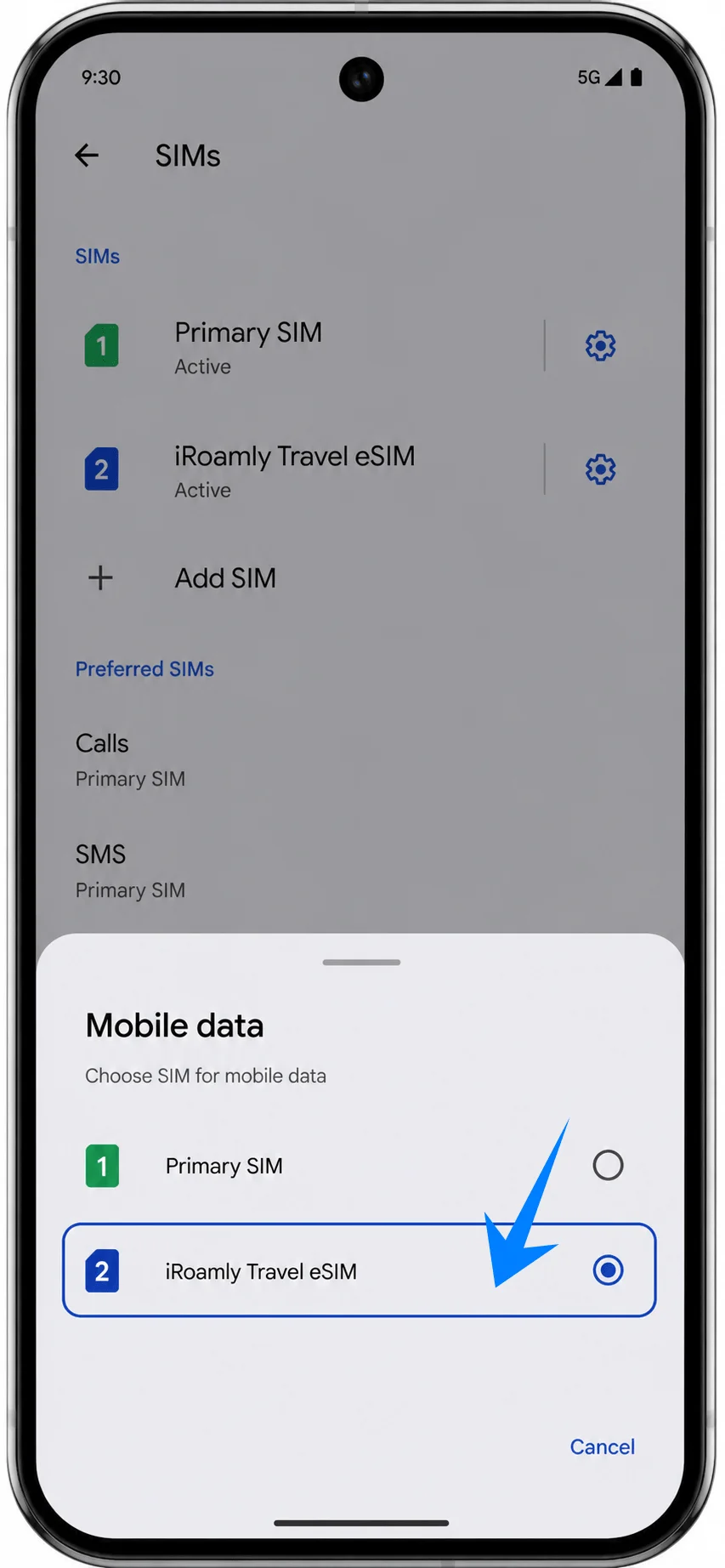 Select Pixel 9 Pro