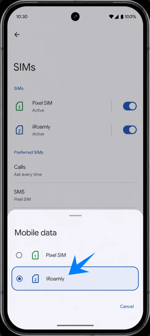 Select Pixel 10