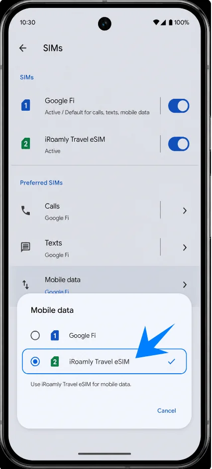 Select Pixel 10 Pro