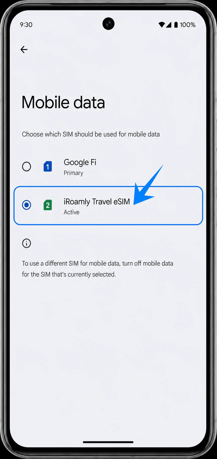 Select Pixel 8