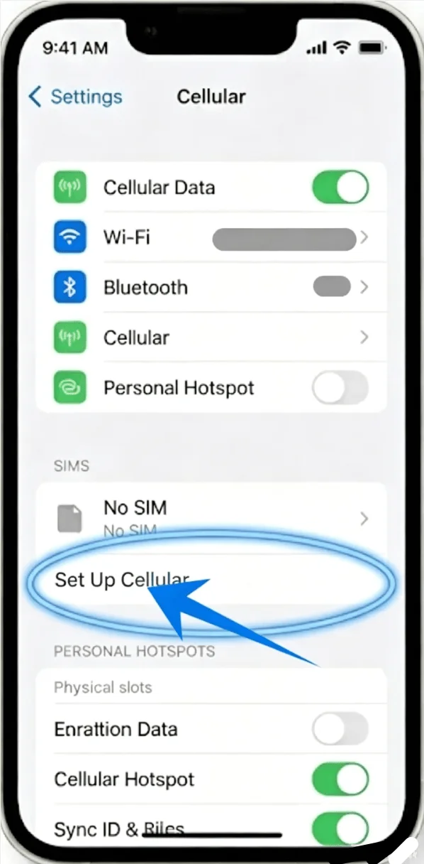 Set Up Cellular 13 Mini