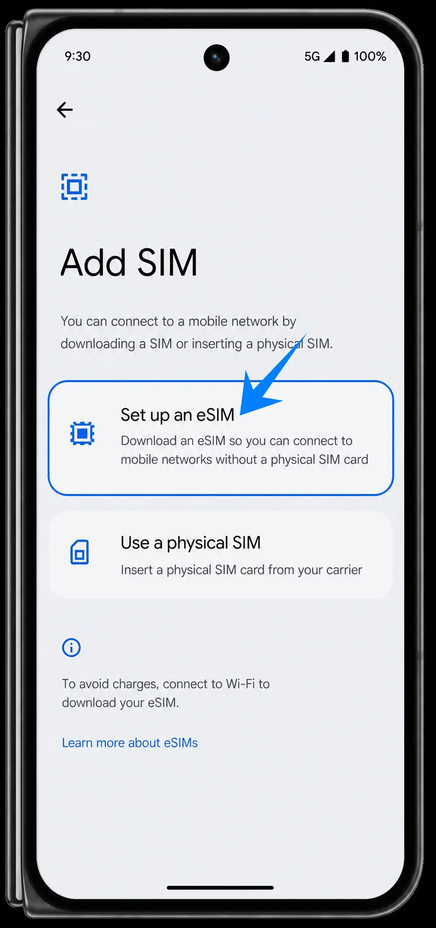 Set Up eSIM Pixel 10 Pro Fold