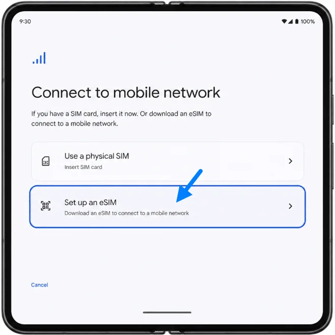 Set Up eSIM Pixel Fold