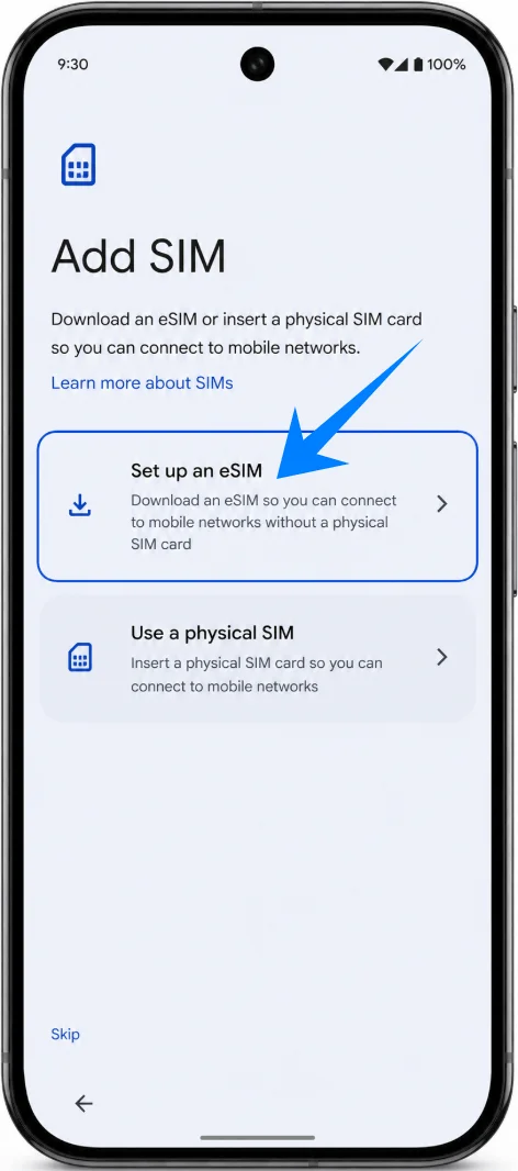 Set Up eSIM Pixel 10
