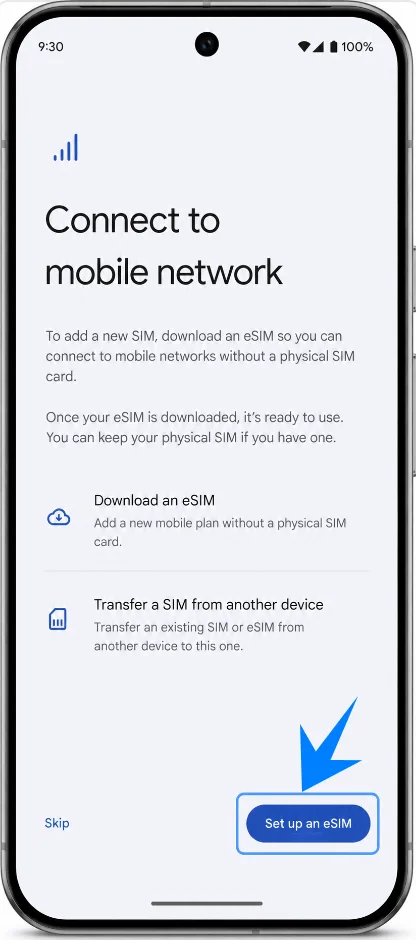 Set Up eSIM Pixel 10 Pro