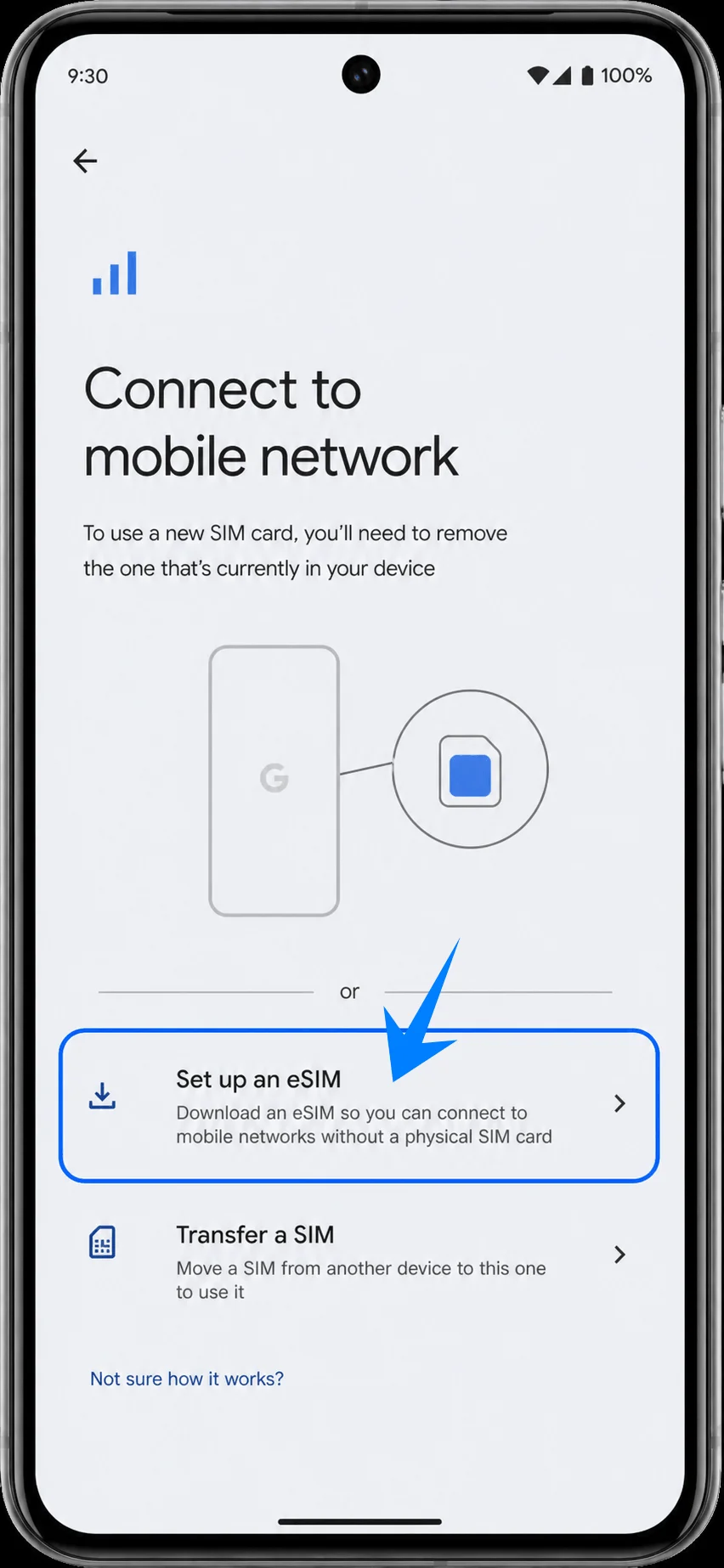 Set Up eSIM Pixel 8