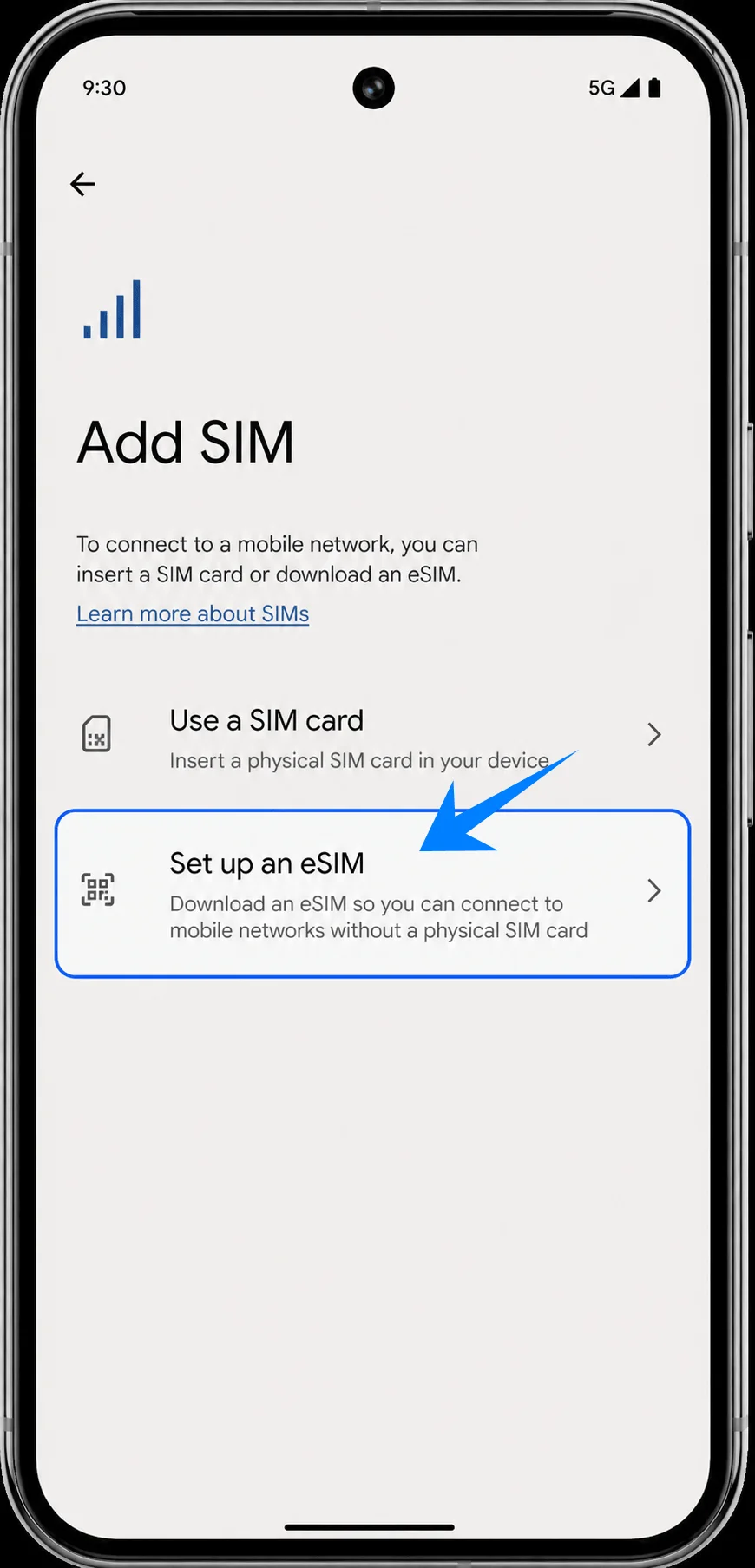Set Up eSIM Pixel 9