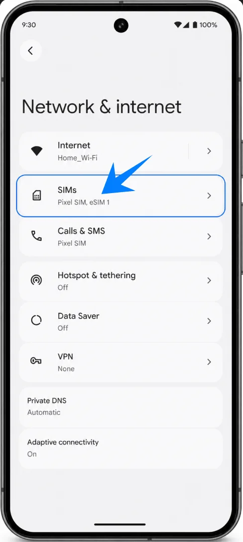 SIMs Pixel 10