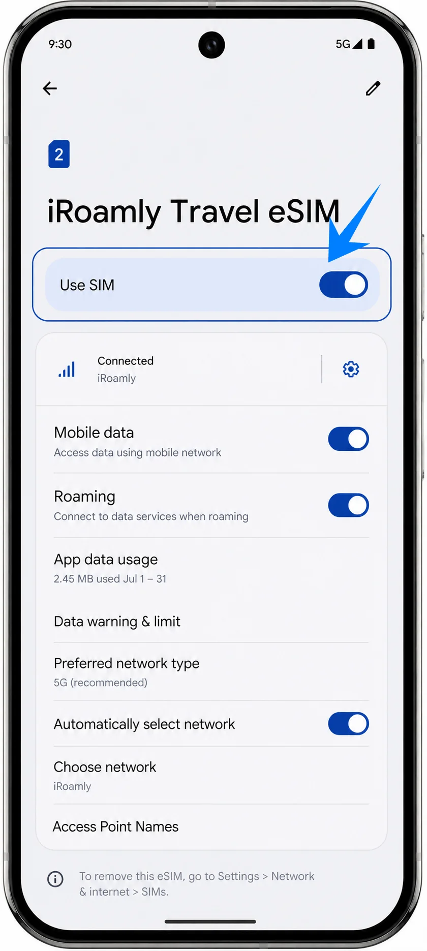 Use eSIM Pixel 9 Pro