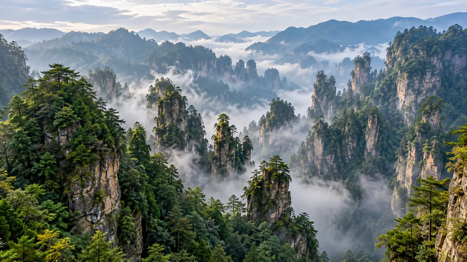 Zhangjiajie sandstone pillars Sandstone pillars rising through mist in Zhangjiajie
