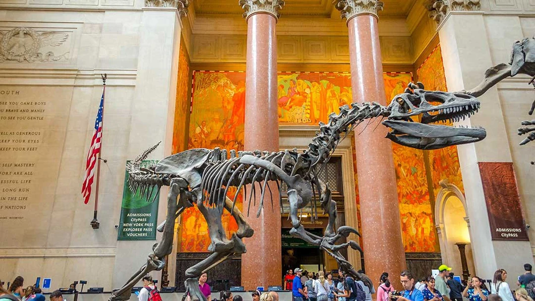 American Museum of Natural History