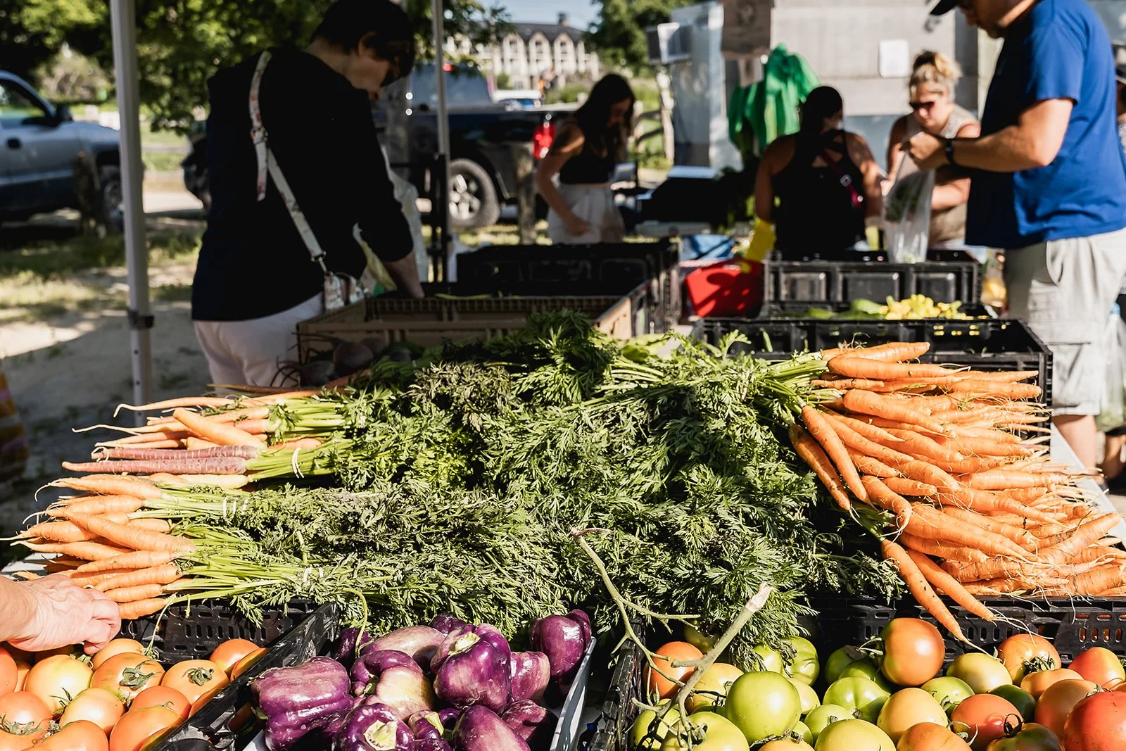 Kanada Markt