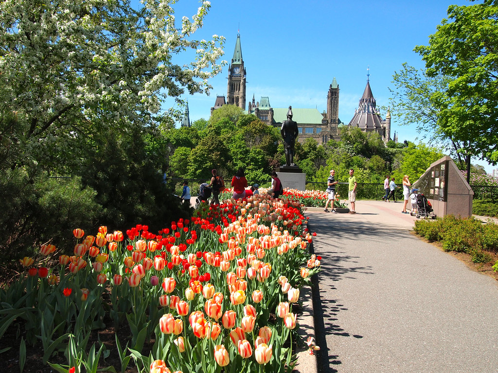 Ottawa Spring