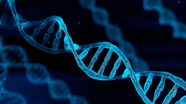 Genetics
