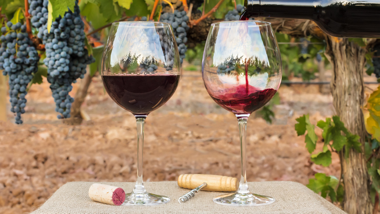 French Wine