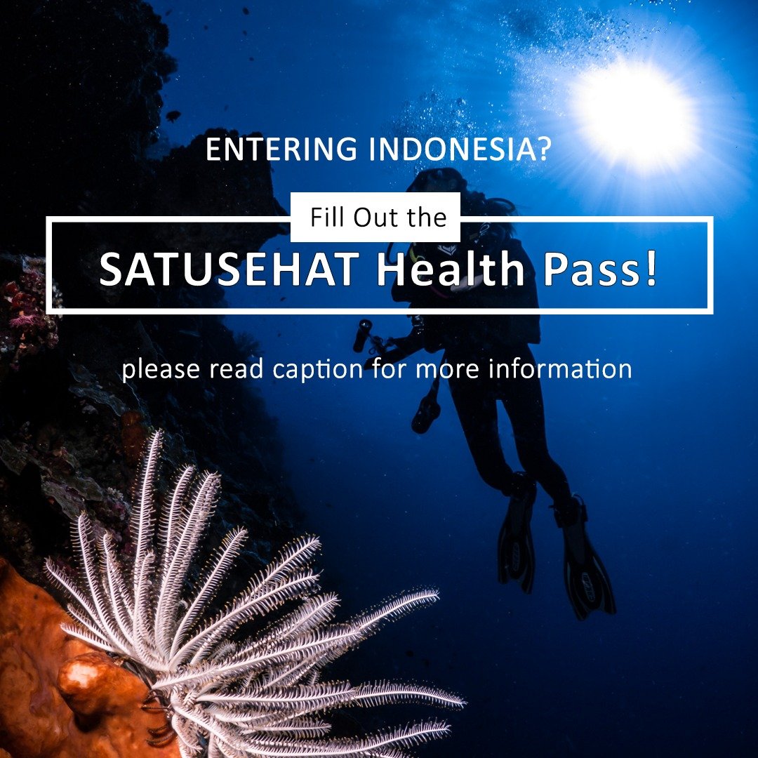 Enter to Indonesia