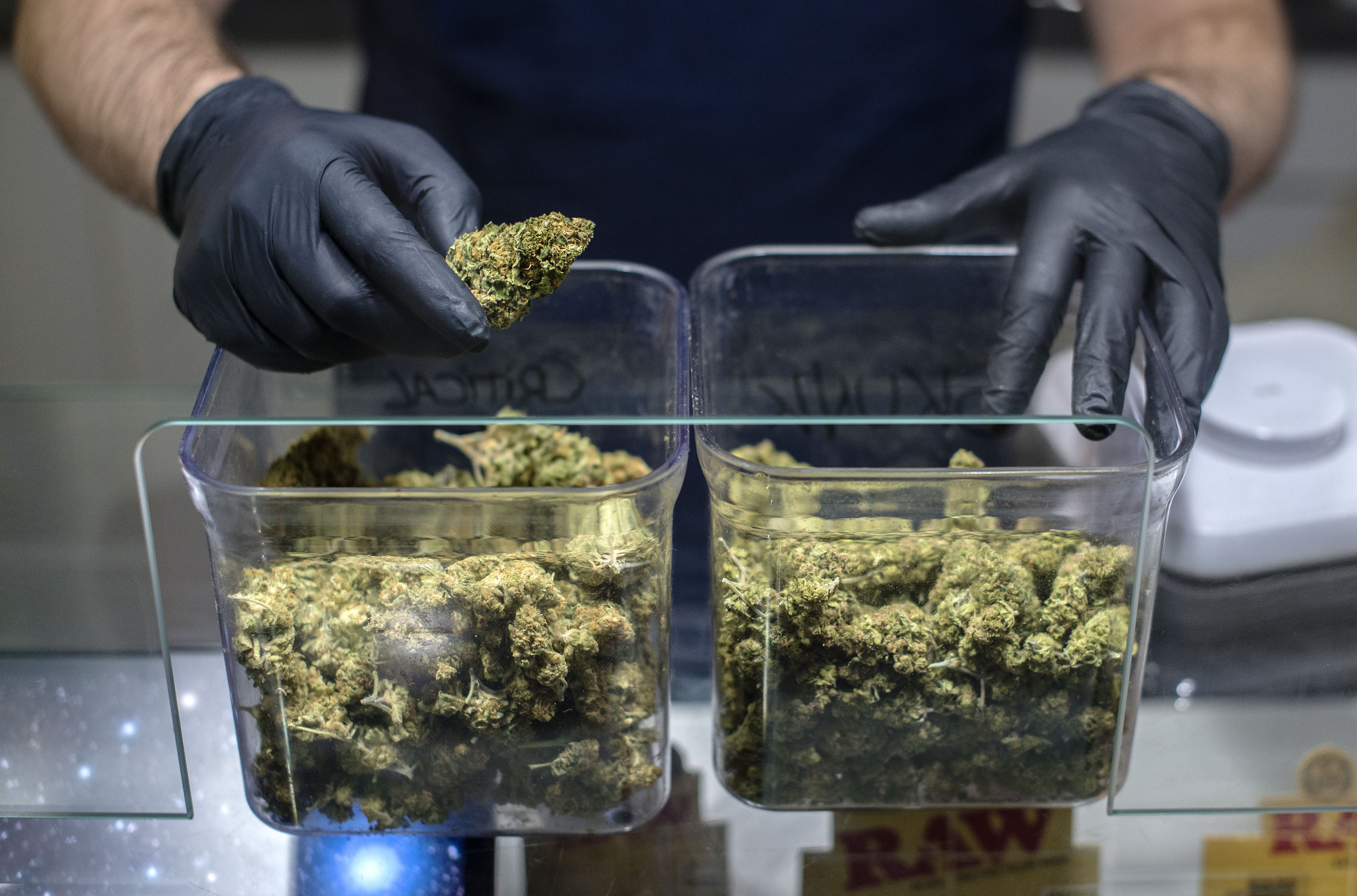 Argriculture Weed
