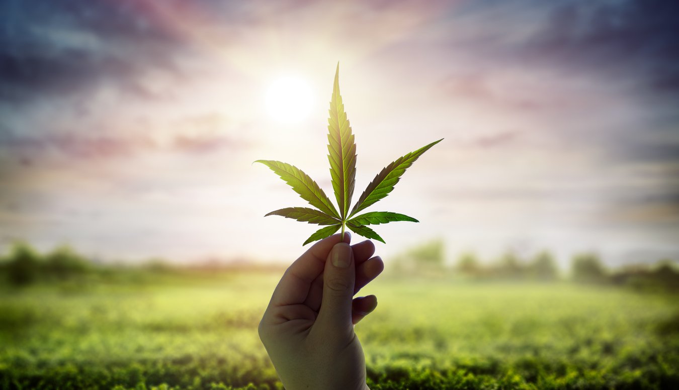 Is Weed Legal in Italy