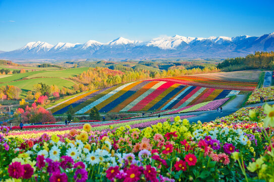 Hokkaido