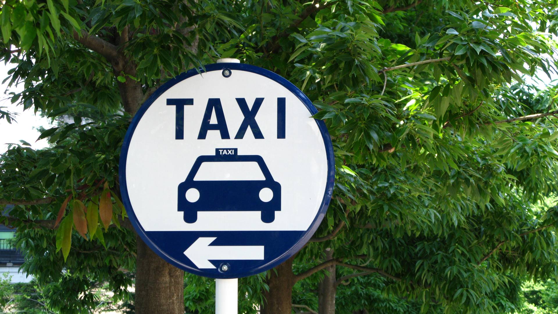 Japan Taxi Assigned Zones
