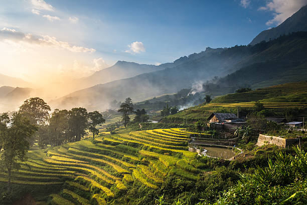 Vietnam Rice Terraces