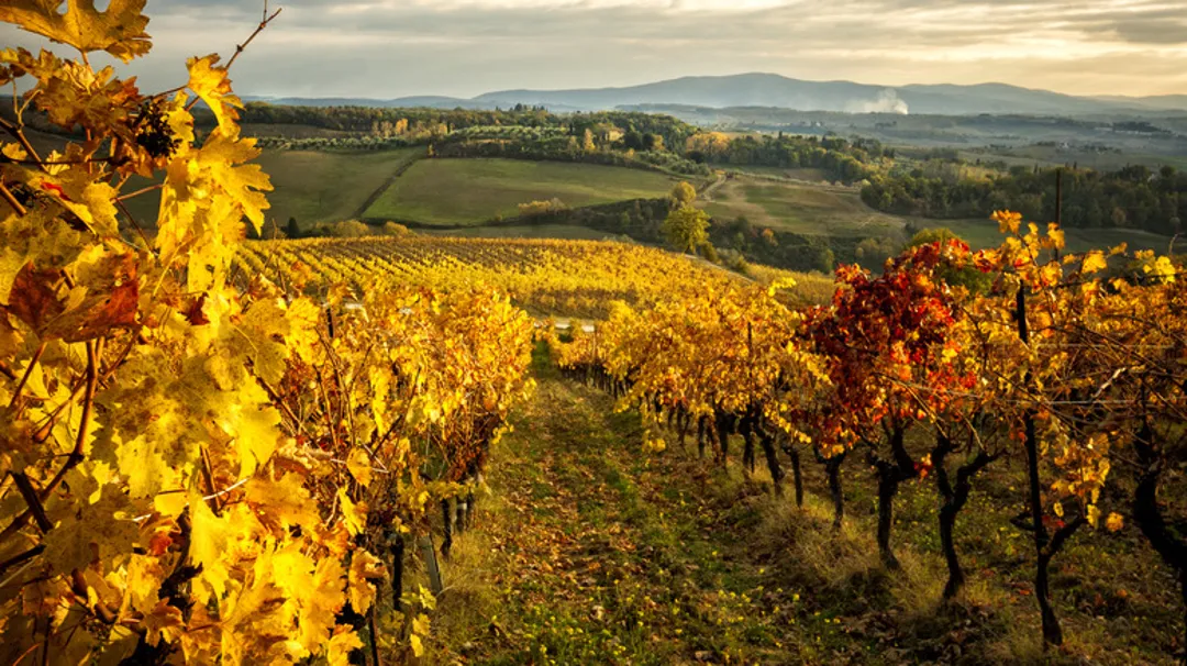 Autumn Italy