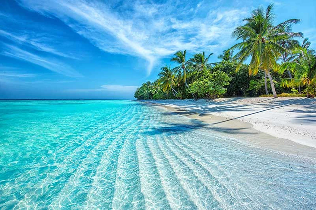 Copertina delle migliori spiagge negli Stati Uniti