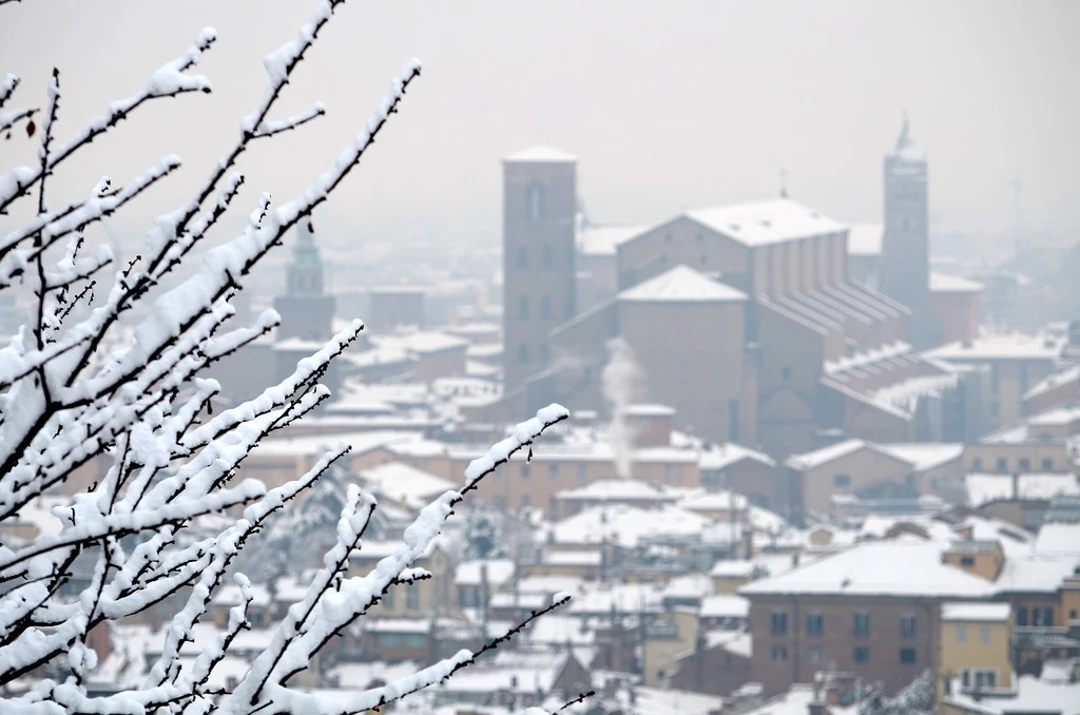 Bologna