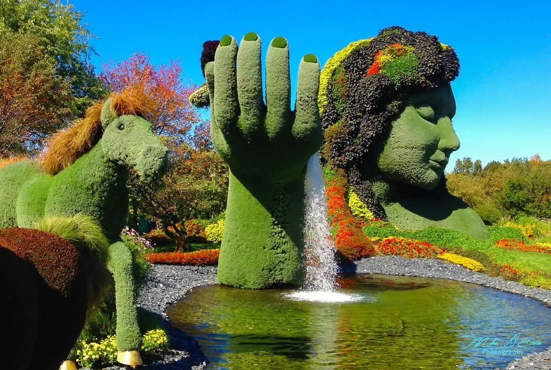 Botanical Garden