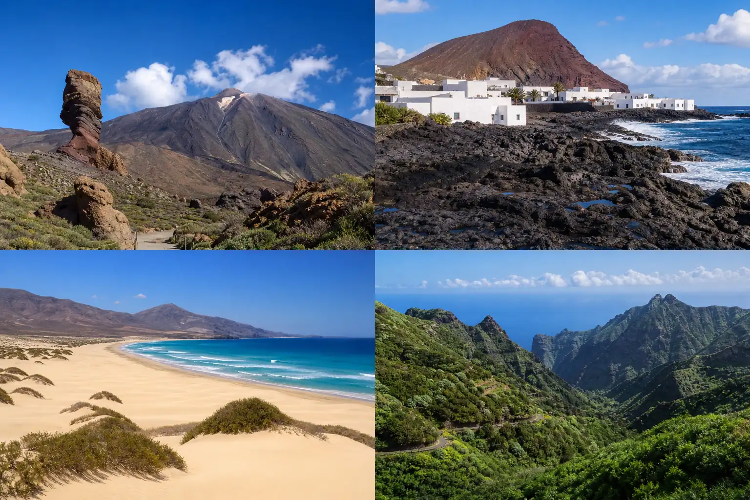 Tenerife Lanzarote Fuerteventura and green western Canary landscapes Tenerife Lanzarote Fuerteventura and green western Canary landscapes